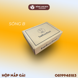 Hộp carton nắp gài sóng B 2 mặt nâu đựng túi xách, thời trang